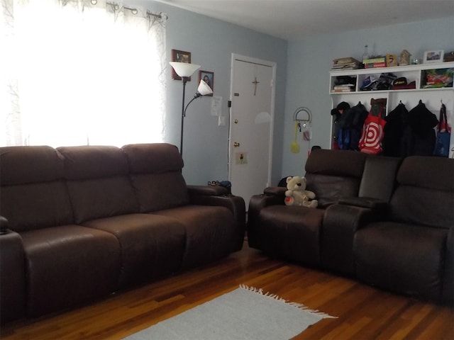 living room featuring plenty of natural light and wood finished floors