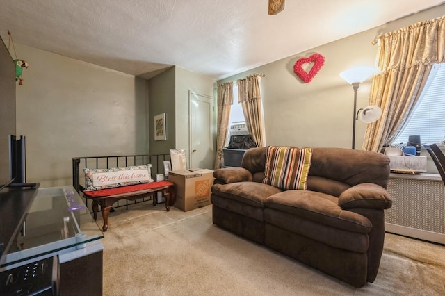 carpeted living area featuring a textured ceiling