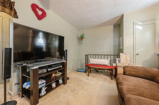 carpeted living room with a textured ceiling and vaulted ceiling