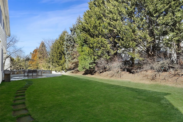 view of yard featuring a patio area