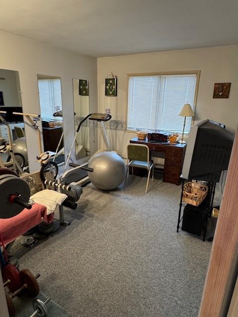 workout room featuring carpet floors