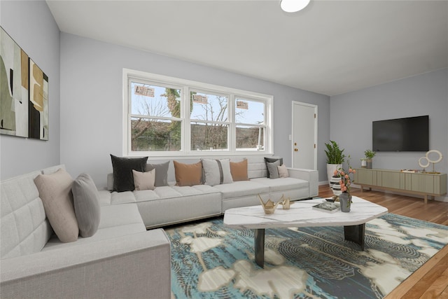 living area featuring wood finished floors