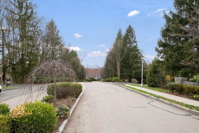 view of road with sidewalks, curbs, and street lighting