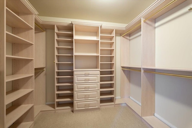 walk in closet with carpet