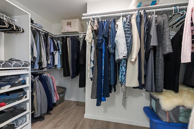 walk in closet with wood finished floors