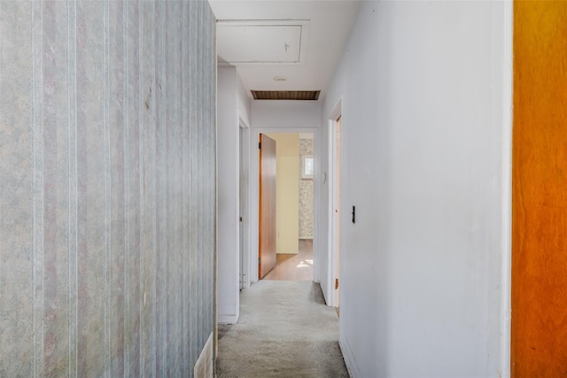 corridor with carpet floors