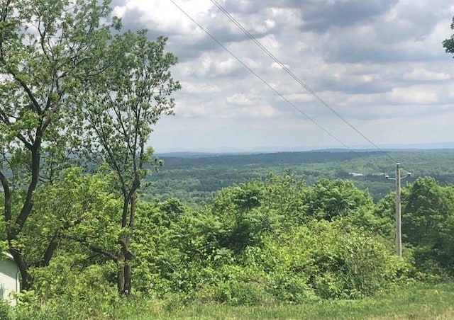 84 Mountain Rd, Bloomingburg, NY 12721