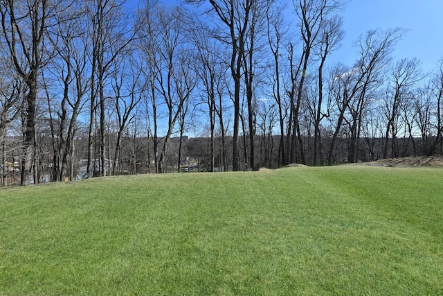 view of yard featuring a wooded view