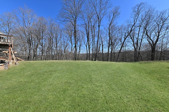 view of yard featuring a view of trees