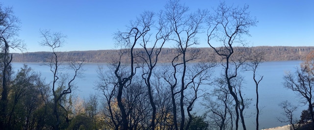 property view of water featuring a wooded view