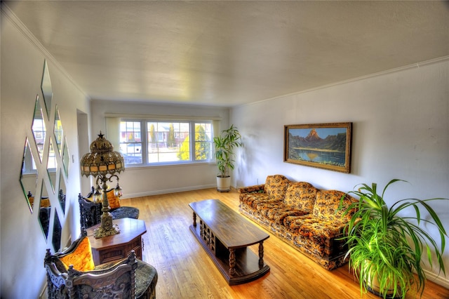 living area featuring baseboards, wood finished floors, and ornamental molding