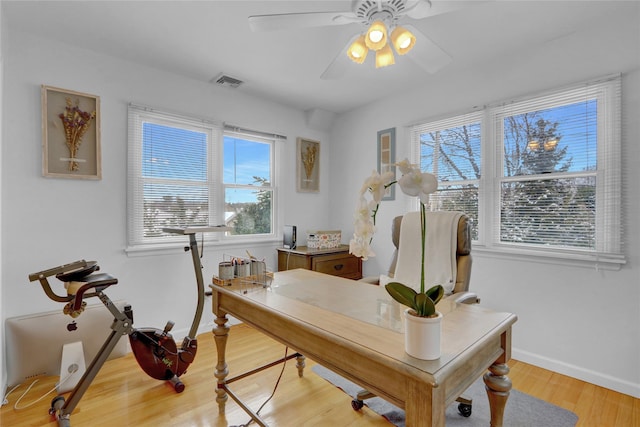 office with ceiling fan, light wood-style flooring, visible vents, and baseboards