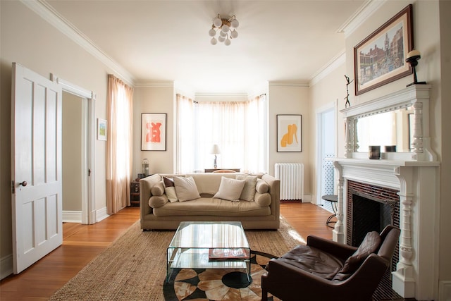 living room featuring radiator, wood finished floors, baseboards, and ornamental molding
