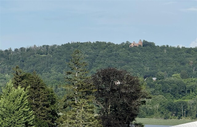 25 Prospect Ave, Catskill, NY 12414 - photo 41