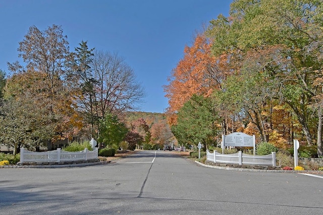 view of street featuring curbs