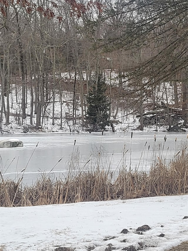 view of yard covered in snow