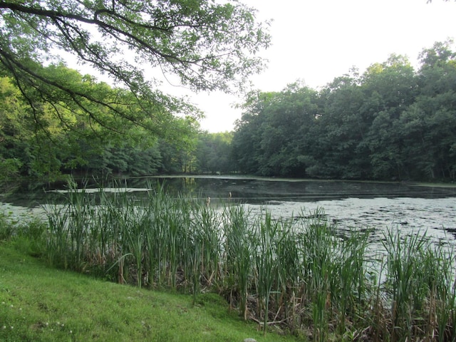 water view with a view of trees