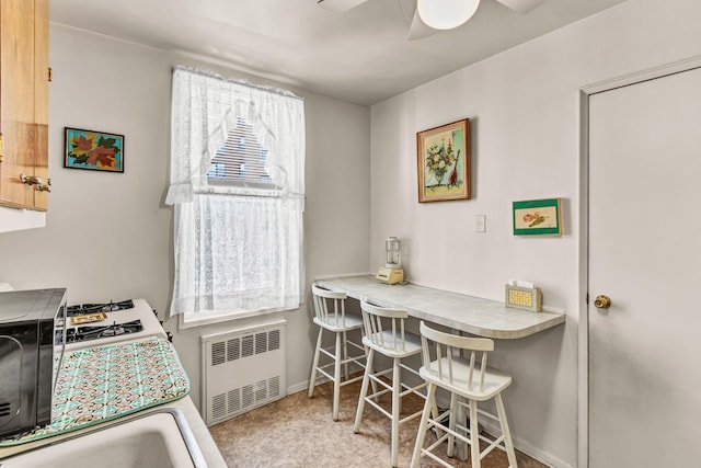 2390 Palisade Ave Unit 5J, Bronx, NY 10463 - dining area featuring radiator heating unit and ceiling fan