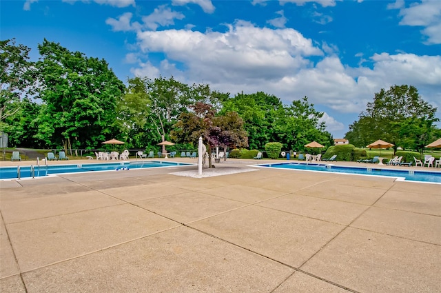 pool featuring a patio area