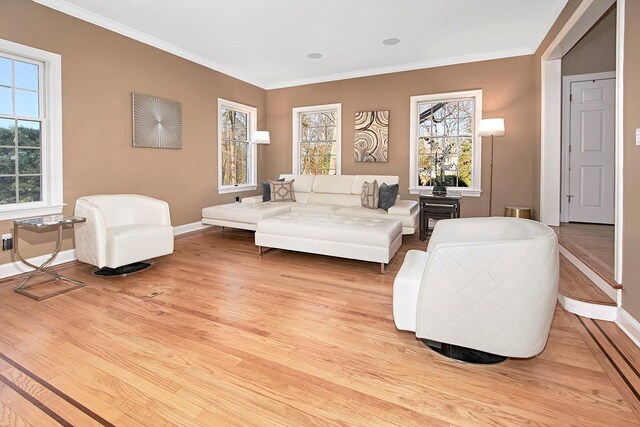 living room with light wood-type flooring, baseboards, and crown molding