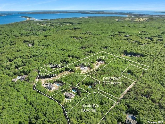 birds eye view of property with a water view and a forest view