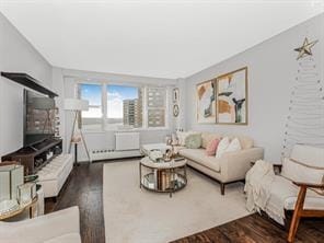 living area featuring dark wood-style flooring