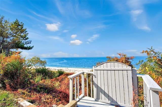 430 Salt Marsh Ln, Peconic, NY 11958 - photo 38