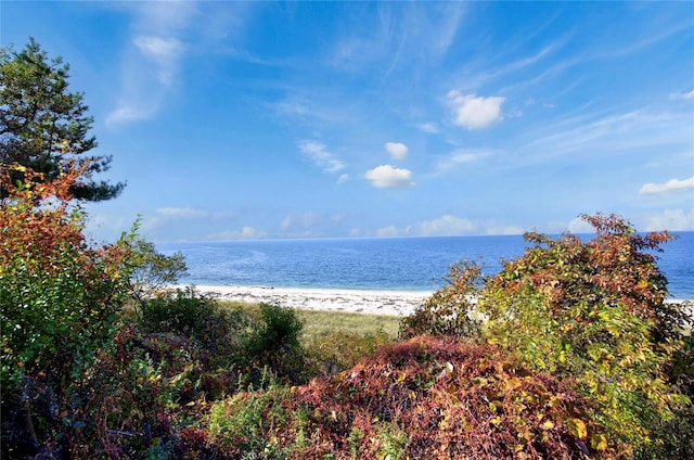 430 Salt Marsh Ln, Peconic, NY 11958 - photo 39