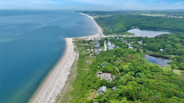 430 Salt Marsh Ln, Peconic, NY 11958 - photo 46