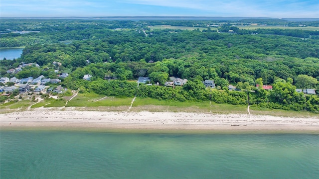 430 Salt Marsh Ln, Peconic, NY 11958 - photo 47