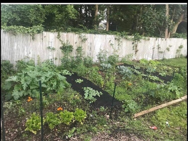 view of yard featuring fence