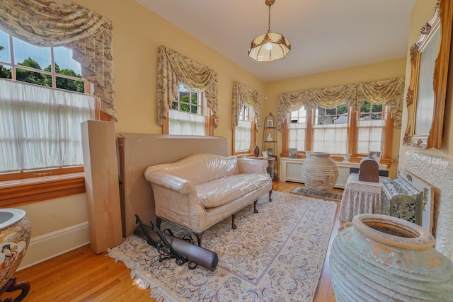 sitting room with baseboards, wood finished floors, and a healthy amount of sunlight