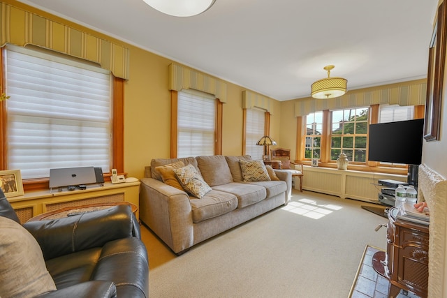 living area featuring light carpet and radiator