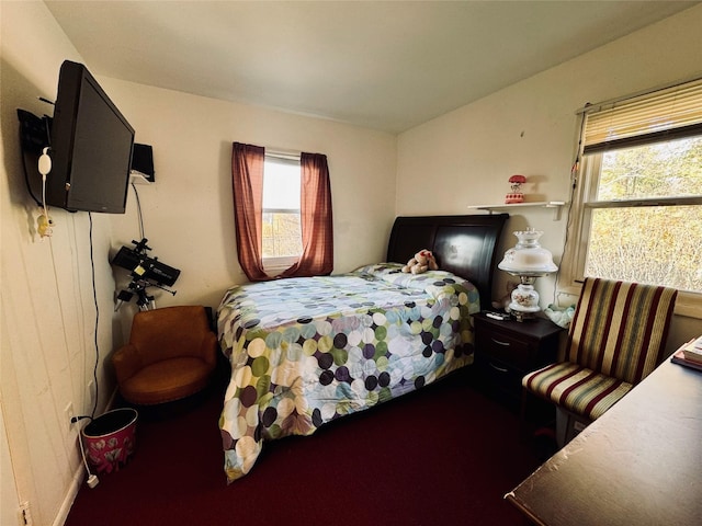carpeted bedroom featuring multiple windows