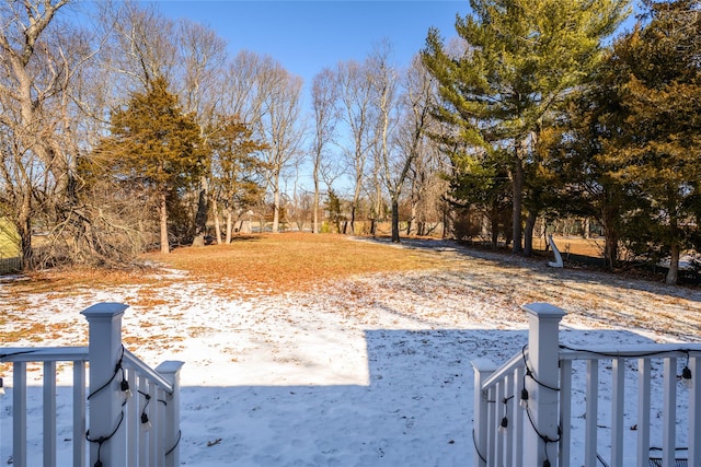 view of yard covered in snow