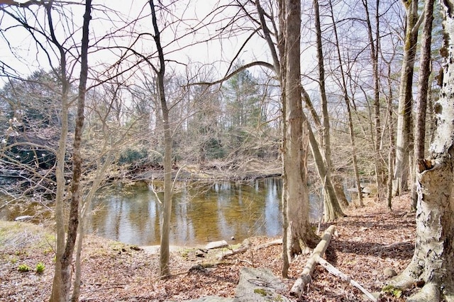 5 Plank Rd, Mongaup Valley, NY 12762 - view of water feature