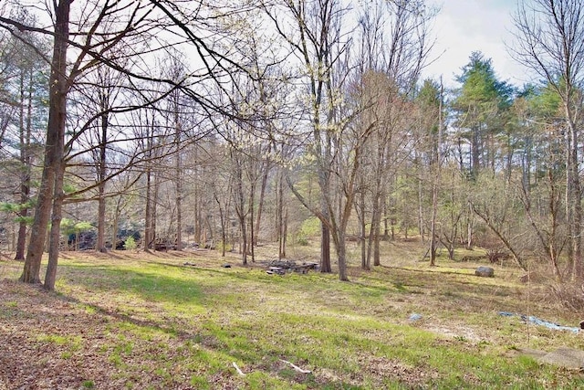 5 Plank Rd, Mongaup Valley, NY 12762 - view of yard