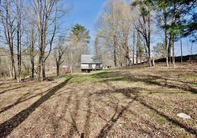 5 Plank Rd, Mongaup Valley, NY 12762 - view of yard