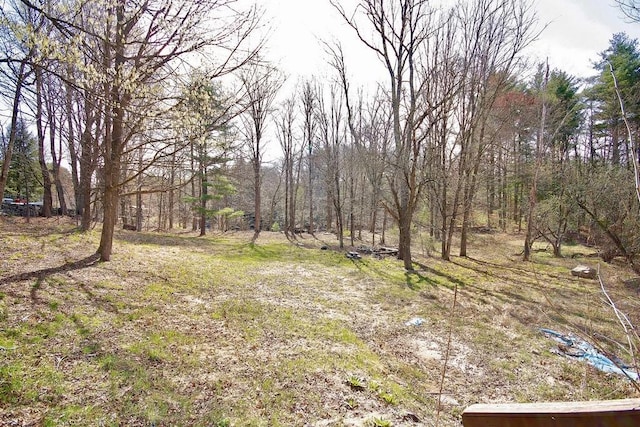 5 Plank Rd, Mongaup Valley, NY 12762 - view of landscape