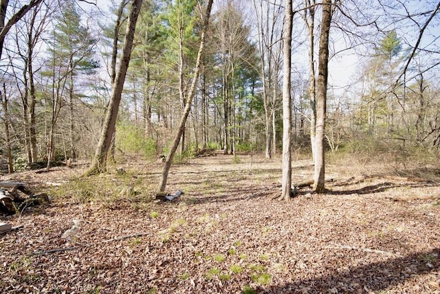 5 Plank Rd, Mongaup Valley, NY 12762 - view of nature featuring a forest view