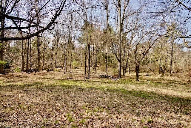 5 Plank Rd, Mongaup Valley, NY 12762 - view of landscape