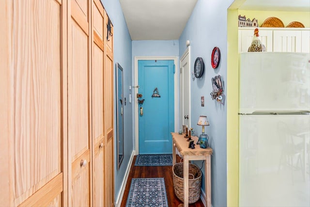 entryway featuring dark wood-style flooring