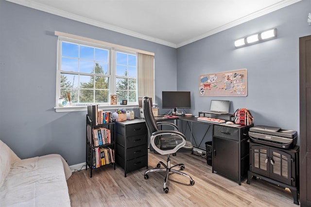 office featuring ornamental molding, light wood-type flooring, and baseboards