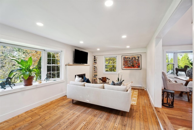 living area featuring a wealth of natural light, a fireplace, light wood-type flooring, and baseboards