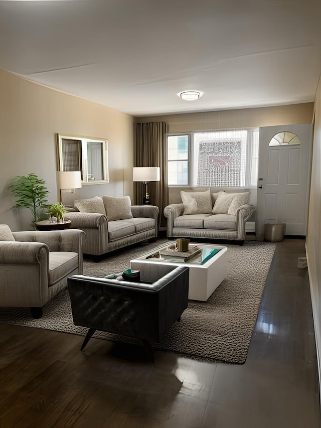 living room featuring dark wood-style floors