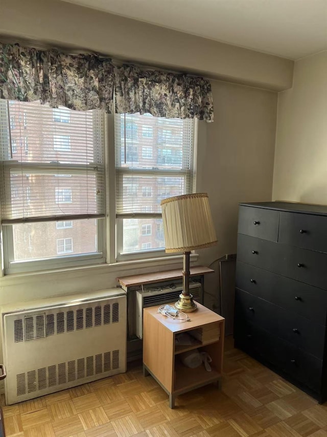 living area featuring radiator