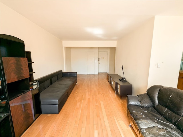 living room featuring light wood-type flooring