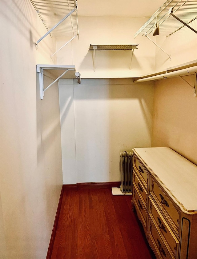 walk in closet with radiator and dark wood-style flooring