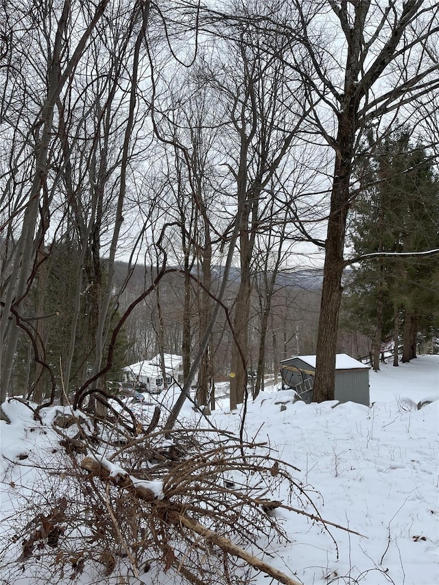 Old Church Rd, Putnam Valley NY, 10579 land for sale