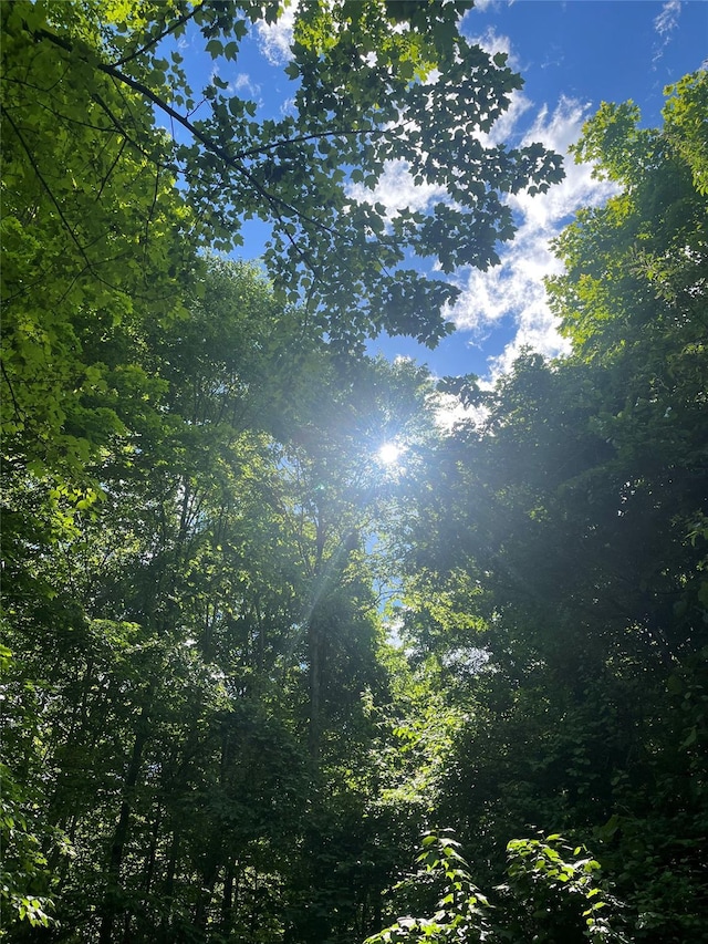 Old Church Rd, Putnam Valley, NY 10579 - photo 1